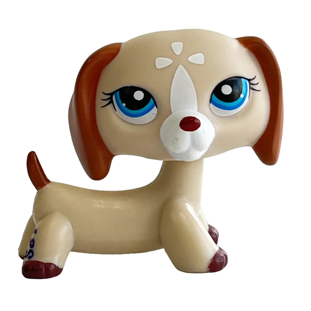 Rare pet toy Stands Short Hair Kitten Dog Dachshund Collie Spaniel Great Dane Original Bobble head toy lps
