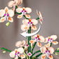Creative Orchid Cymbidium Eternal Flowers Potted Plant Building Blocks Simulation Phalaenopsis DIY Bricks Toys Valentine's Gift