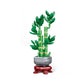 Orchid Building Blocks Flowers Bouquet Bonsai Plant Model Ornament Exquisite DIY Home Decorations Valentines Adult Child's Gifts
