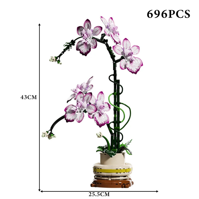 Creative Orchid Cymbidium Eternal Flowers Potted Plant Building Blocks Simulation Phalaenopsis DIY Bricks Toys Valentine's Gift