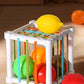 Fruit Cecele Shape Color Color Fruit Cognition Rainbow Cecele Interactive Game Toy