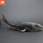Prognathodon Mosasaur Jurassic Dinosaur Model Toy - Realistic Ocean Educational Gift for Kids Birthday Home