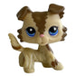 Rare pet toy Stands Short Hair Kitten Dog Dachshund Collie Spaniel Great Dane Original Bobble head toy lps
