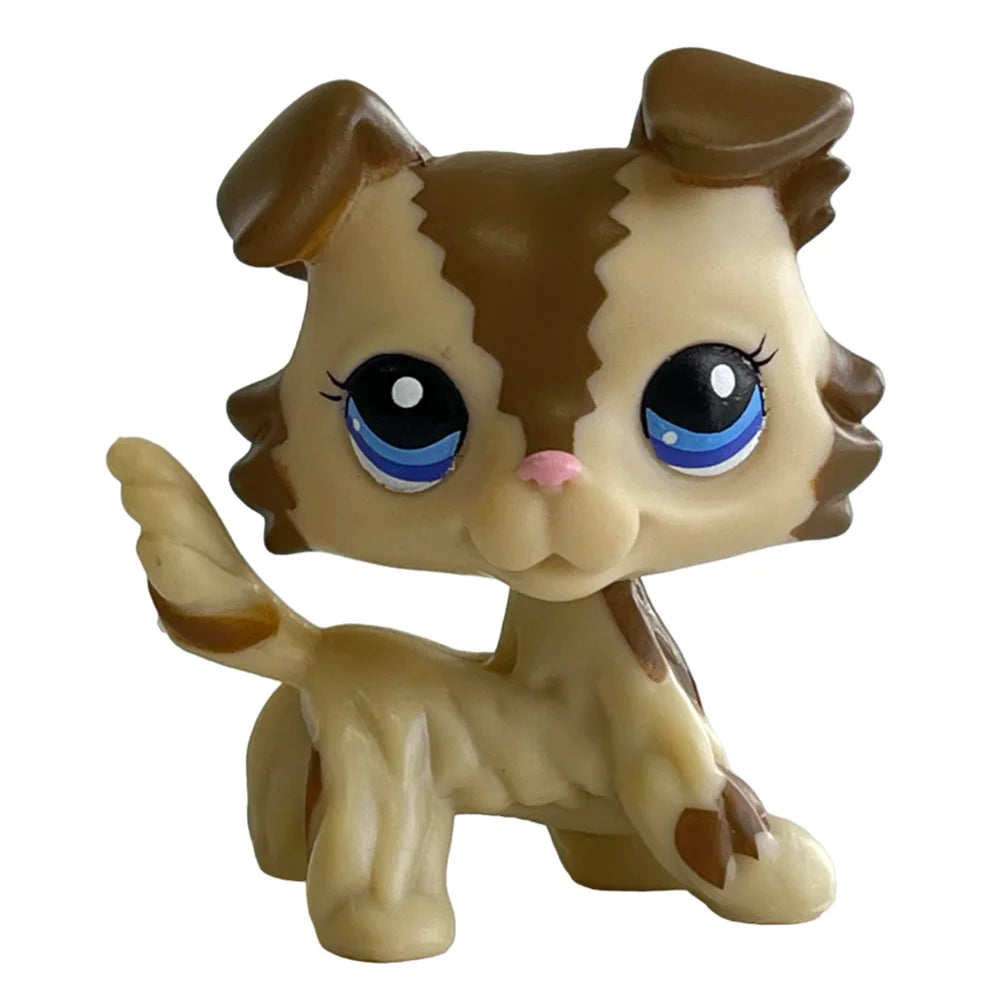 Rare pet toy Stands Short Hair Kitten Dog Dachshund Collie Spaniel Great Dane Original Bobble head toy lps