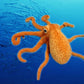 Cute Plush Stunning Lifelike Octopus Gift Room Car Decor Plush Octopus Animal Doll Stuffed Toys