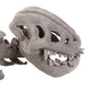 3D Dinosaur Skeleton Funny Novelty Dinosaur Skeleton Cos Props Comfortable Soft Dinosaur Skeleton Costume Set Children
