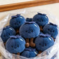 Blueberry Luck] Preventing Mold Luck Blueberry Plush Doll Doll Ornament Bag Pendant Keychain Pendant