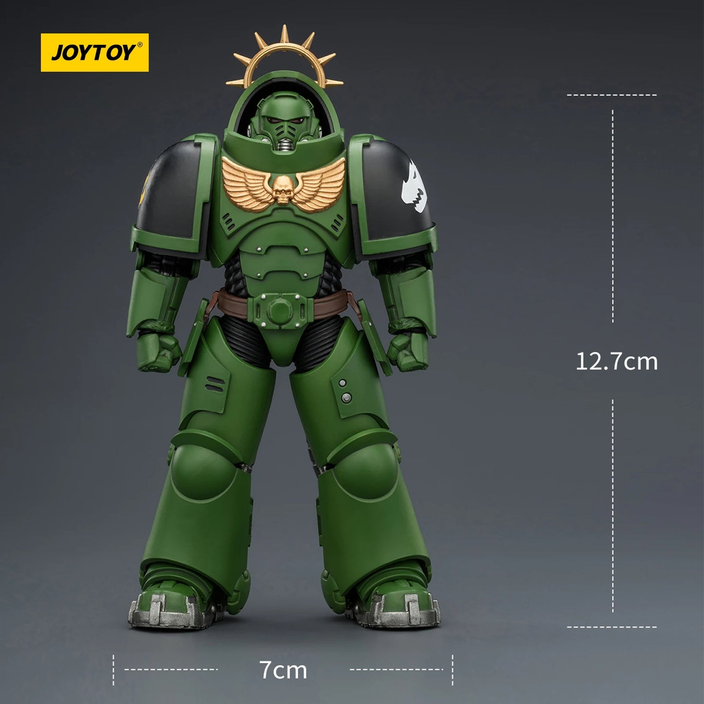 JOYTOY Dark Source Warhammer 40k Salamanders Primaris Heavy Intercessor 1/18 Model Toy JT03677 with Heavy Bolt Rifle Collectible Model