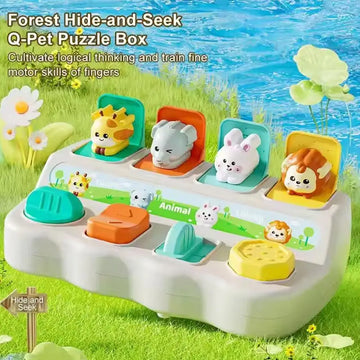 Montessori Pop up Animal Toys and Learning Boxes - Enhance Logic and Motor Skills, for Children's Birthday Gifts