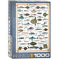 Sea Fish 1000 Piece Jigsaw Puzzle Eurographics