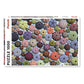 Sea Urchins 1000 Piece Jigsaw Puzzle Piatnik