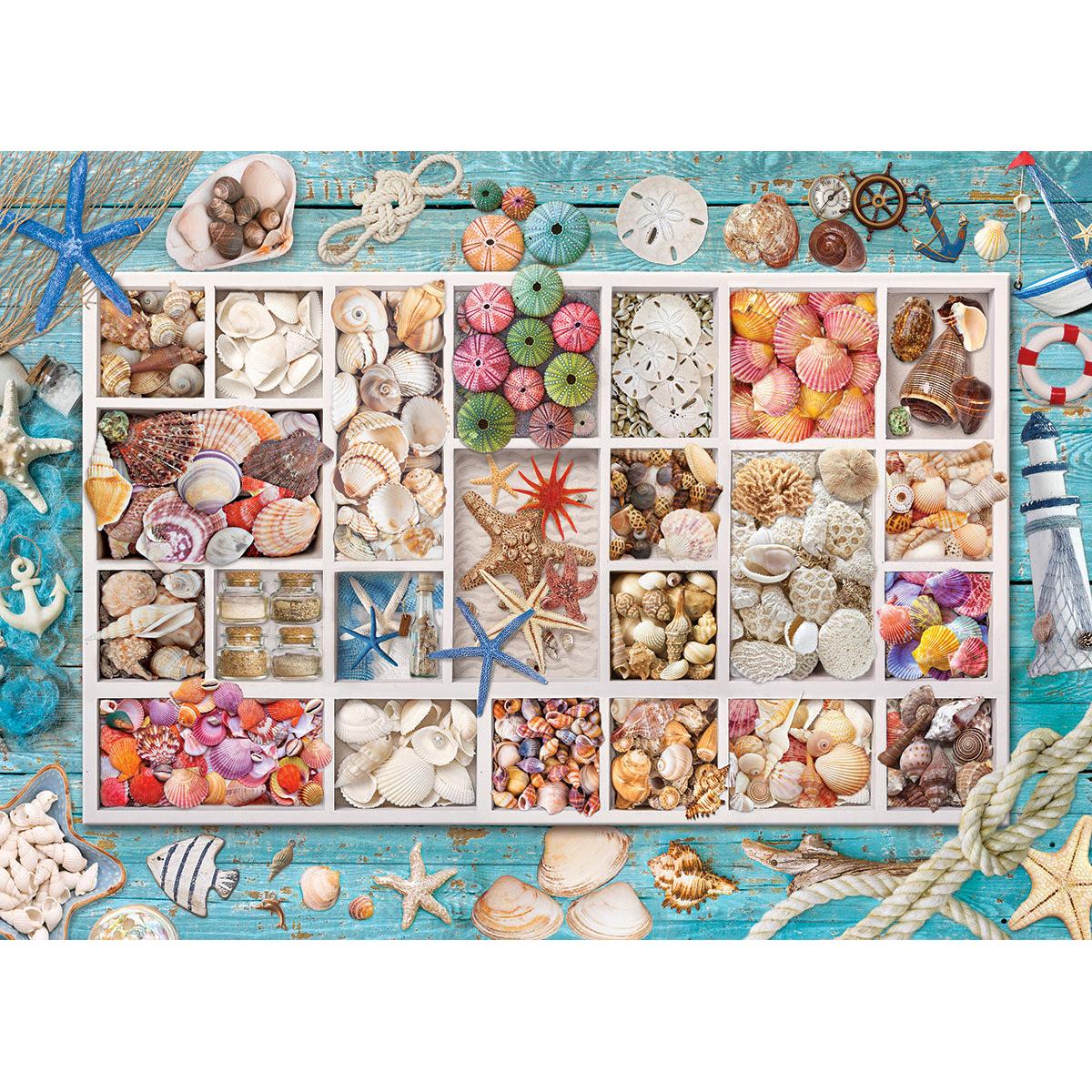 Seashell Collection 1000 Piece Jigsaw Puzzle Eurographics