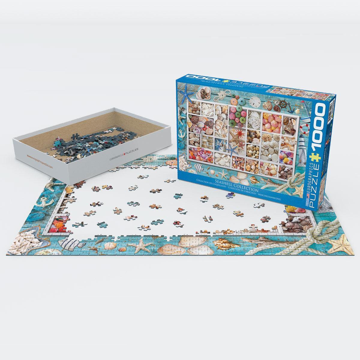 Seashell Collection 1000 Piece Jigsaw Puzzle Eurographics