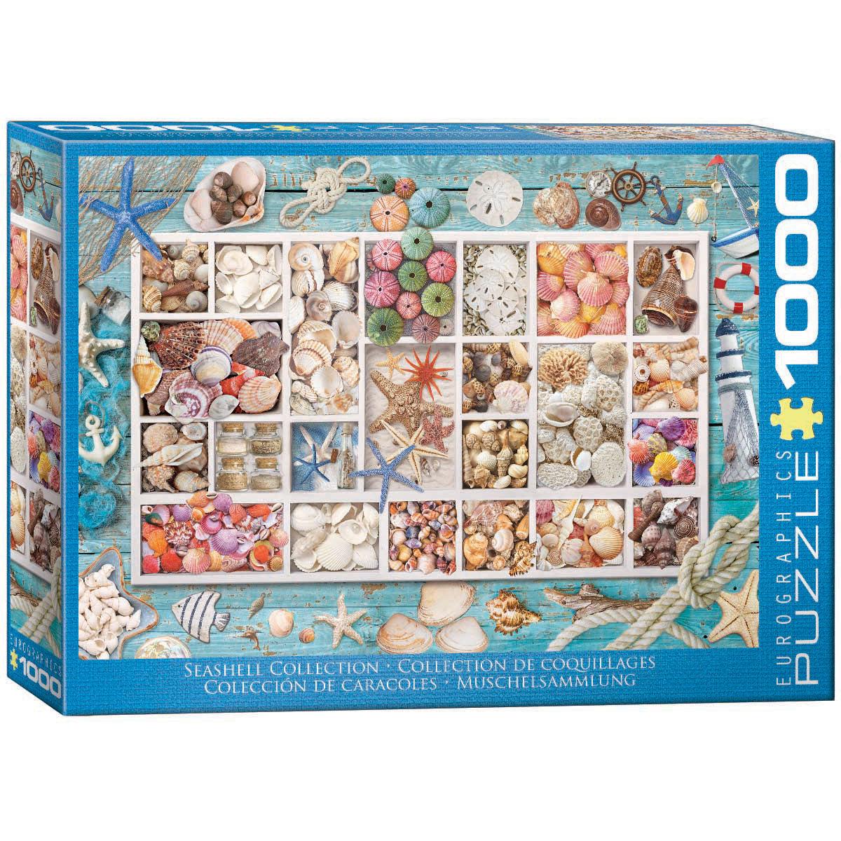 Seashell Collection 1000 Piece Jigsaw Puzzle Eurographics