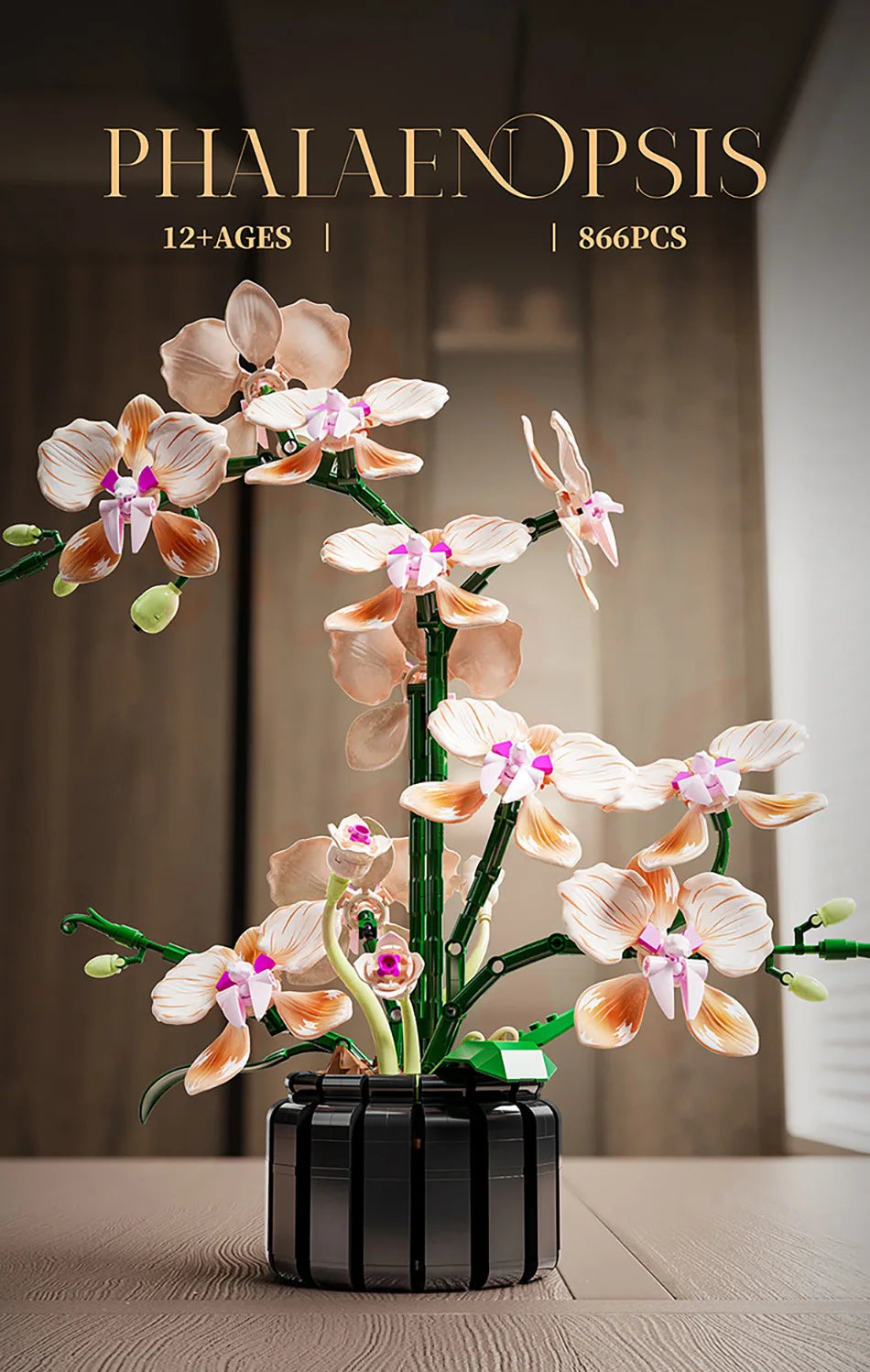 Creative Orchid Cymbidium Eternal Flowers Potted Plant Building Blocks Simulation Phalaenopsis DIY Bricks Toys Valentine's Gift