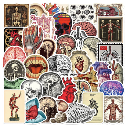 50pcs Retro Scientific Anatomy Stickers Waterproof PVC Decals for Laptops Scrapbooks Guitars Phones & More