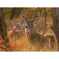 Secret Rendezvous 275 Large Piece Jigsaw Puzzle Cobble Hill