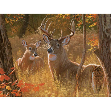 Secret Rendezvous 275 Large Piece Jigsaw Puzzle Cobble Hill
