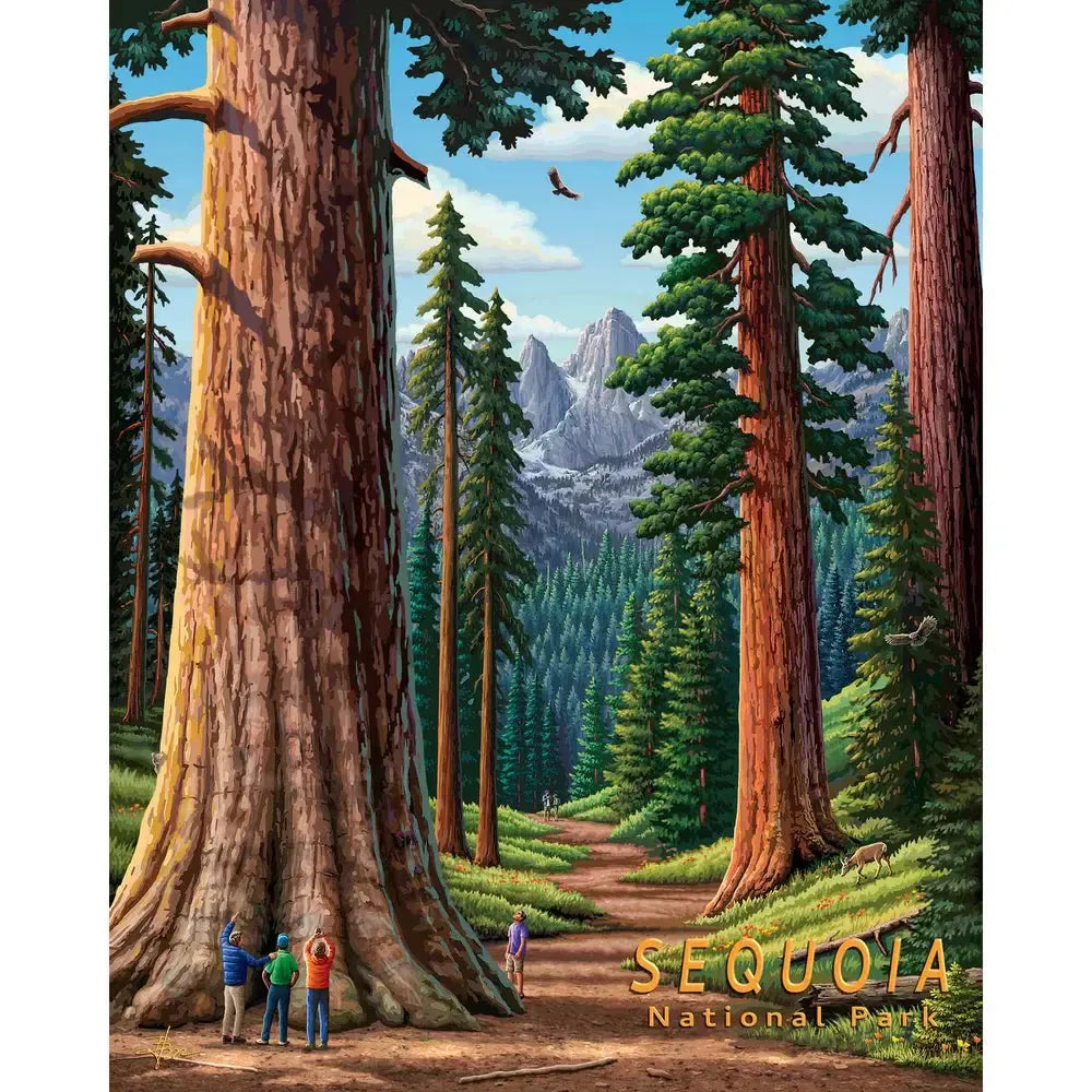 Sequoia National Park 210 Piece Jigsaw Puzzle Boardwalk