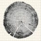 Set of 3 Woodcut 300 Piece Jigsaw Puzzle PA Press