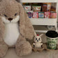 35Cm Angry Rabbit Plush Toy Cute Animal Plushie Doll Kawaii Stuffed Soft Toys Model Give Children Birthday Gifts Cute Ornament