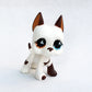 Rare pet toy Stands Short Hair Kitten Dog Dachshund Collie Spaniel Great Dane Original Bobble head toy lps