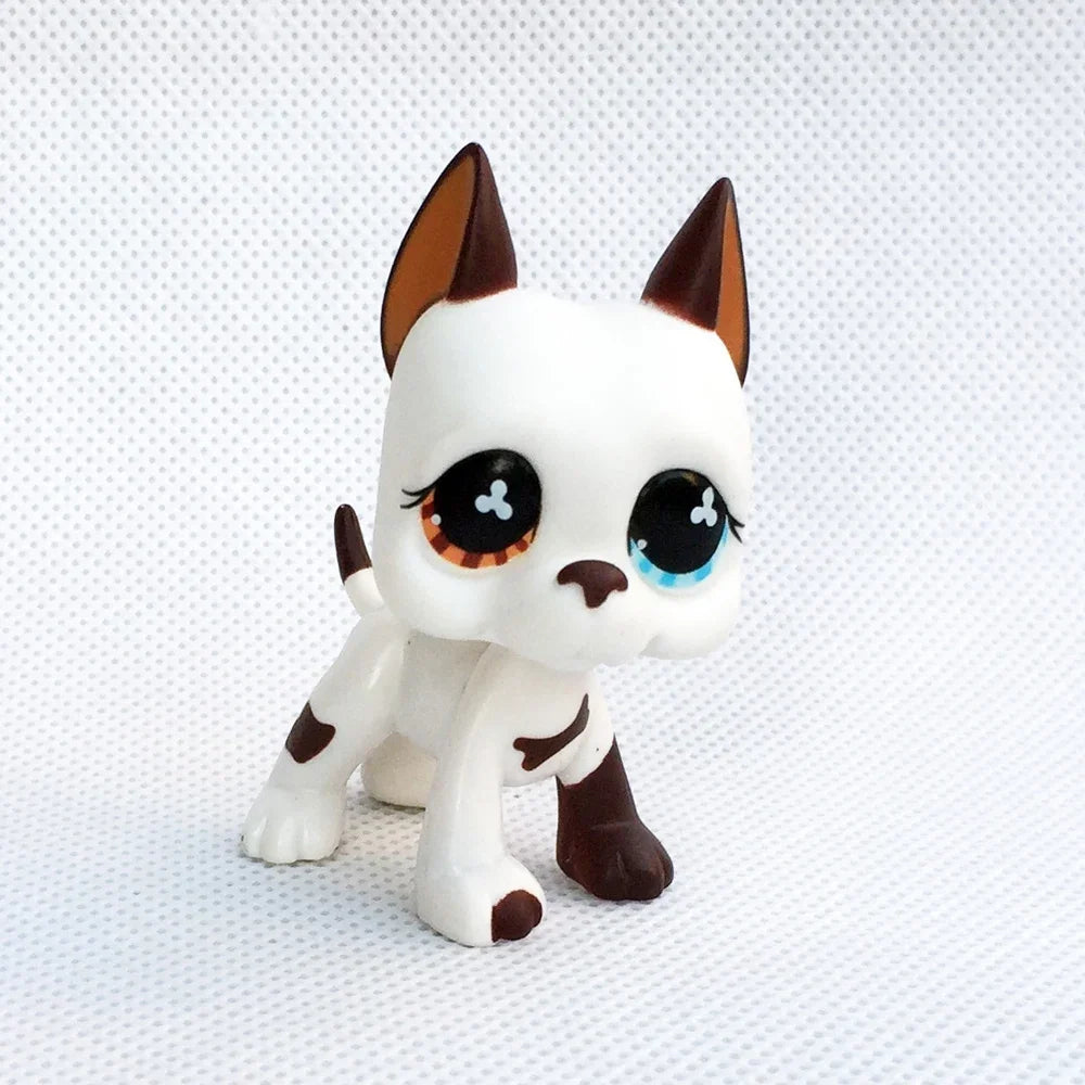 Rare pet toy Stands Short Hair Kitten Dog Dachshund Collie Spaniel Great Dane Original Bobble head toy lps