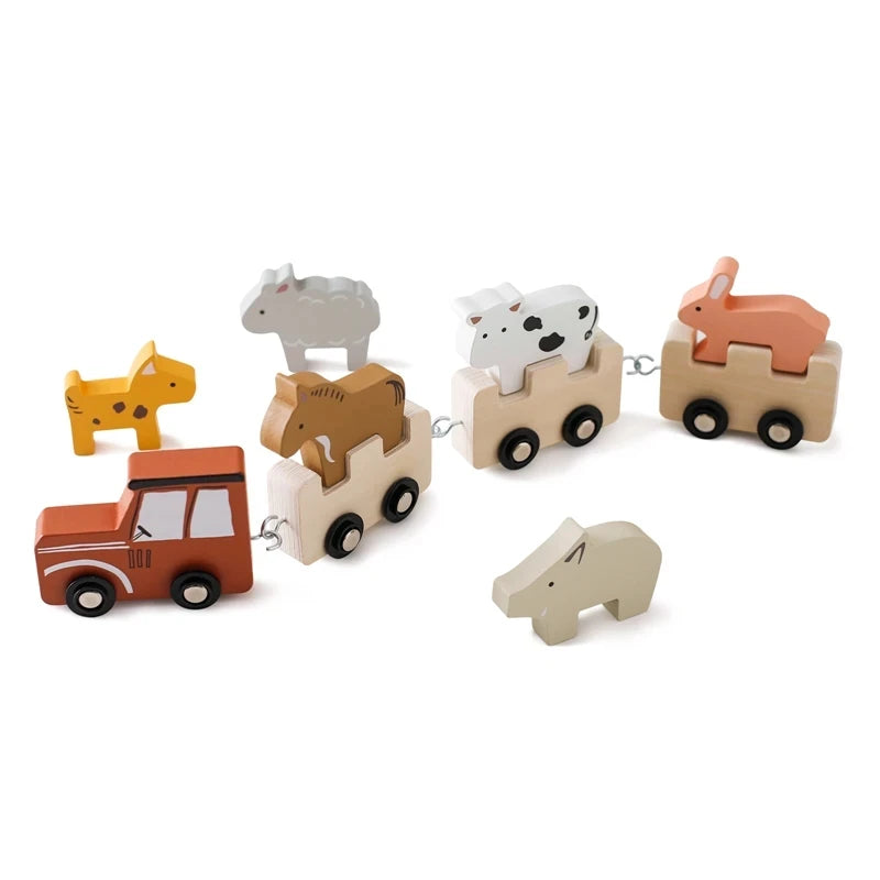 Baby Montessori Toys Wooden Train Baby Educational Toys Wooden Rainbow Blocks Trolley Baby Learning Toys Children Birthday Gifts