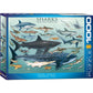 Sharks 1000 Piece Jigsaw Puzzle Eurographics