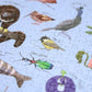 Silly Nature 1000 Piece Jigsaw Puzzle Sleazy Greetings