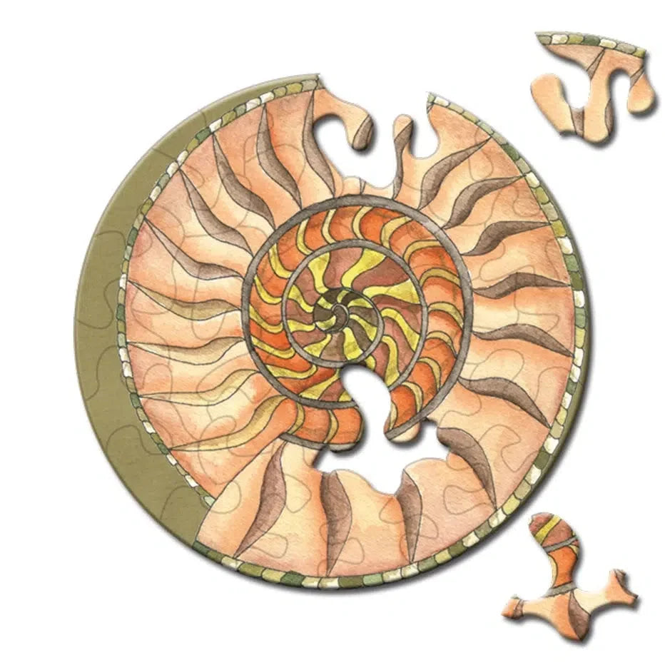 Snail 33 Piece Mini Matchbox Jigsaw Puzzle Curiosi
