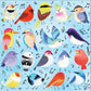 Songbirds 500 Piece Jigsaw Puzzle Mudpuppy