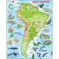 South America Topographic Map 65 Piece Tray Jigsaw Puzzle Larsen