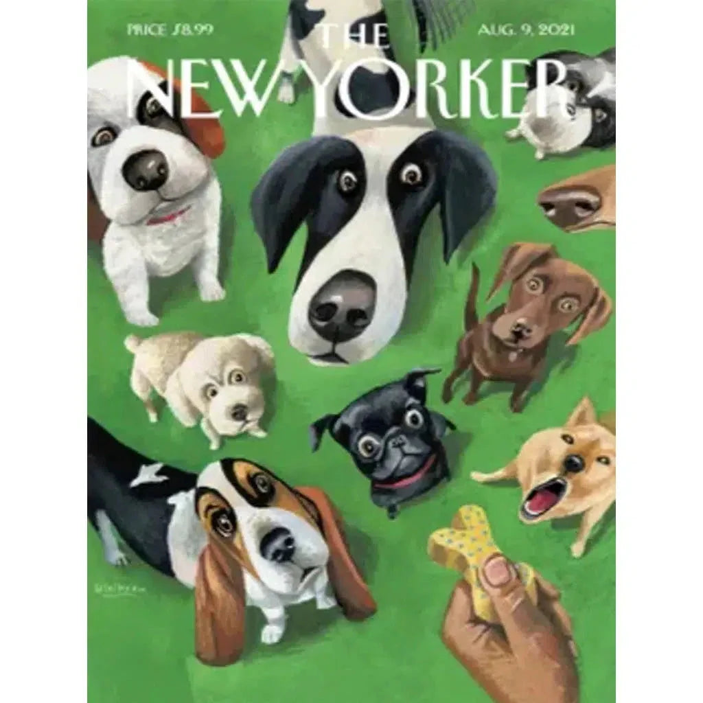 Summer Treat 500 Piece Jigsaw Puzzle NYPC
