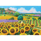 Sunflowers & Vineyards 1000 Piece Jigsaw Puzzle Peter Pauper
