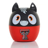Texas Tech Red Raiders