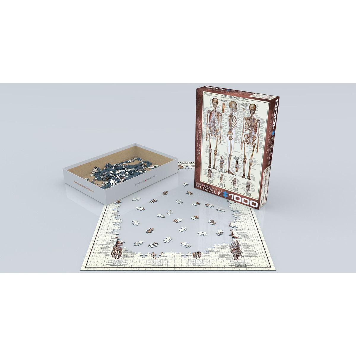 The Skeletal System 1000 Piece Jigsaw Puzzle Eurographics
