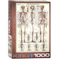 The Skeletal System 1000 Piece Jigsaw Puzzle Eurographics