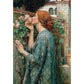 The Soul of the Rose 1000 Piece Jigsaw Puzzle Pomegranate