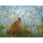 The Whole World by Robert Bissell 1000 Piece Jigsaw Puzzle Pomegranate
