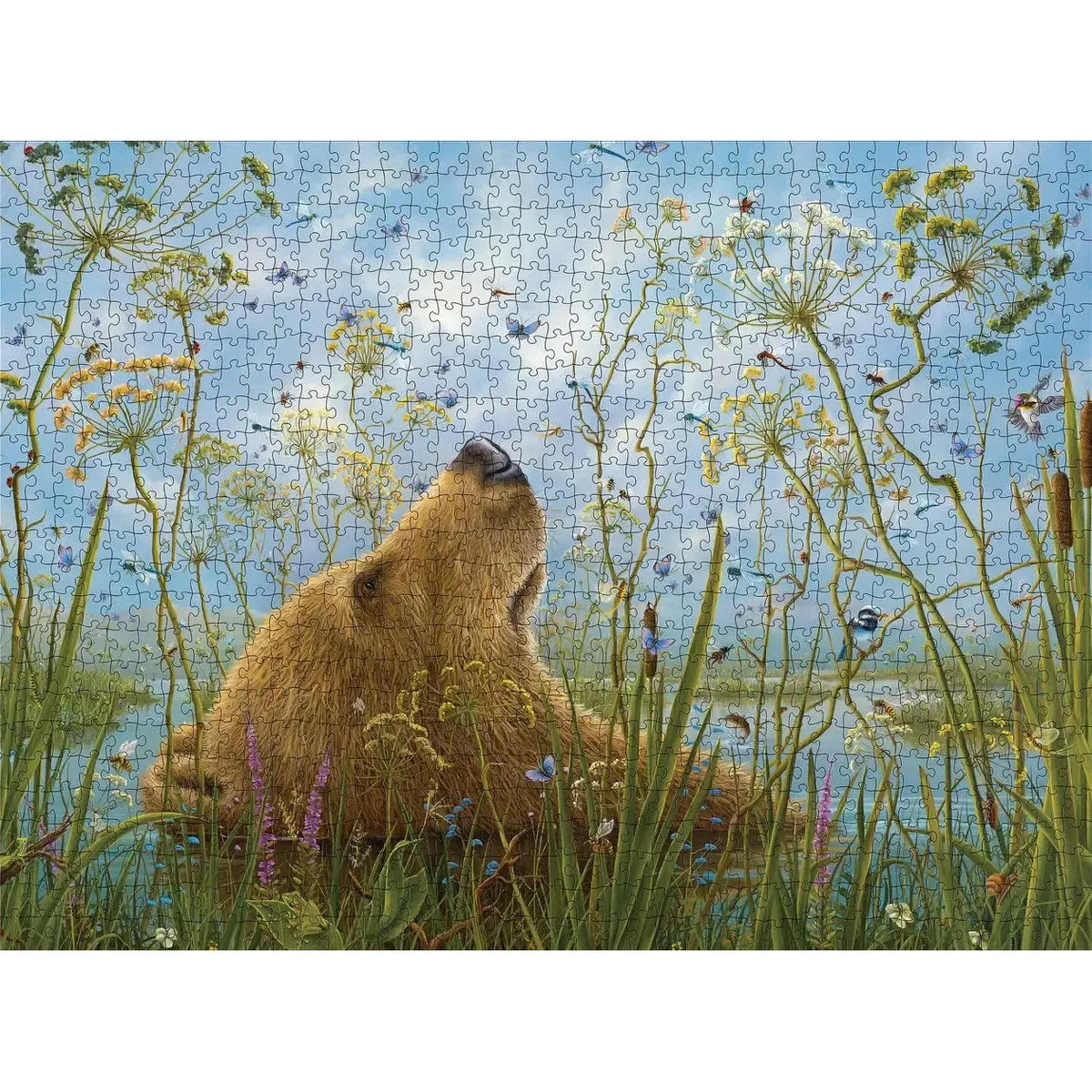 The Whole World by Robert Bissell 1000 Piece Jigsaw Puzzle Pomegranate