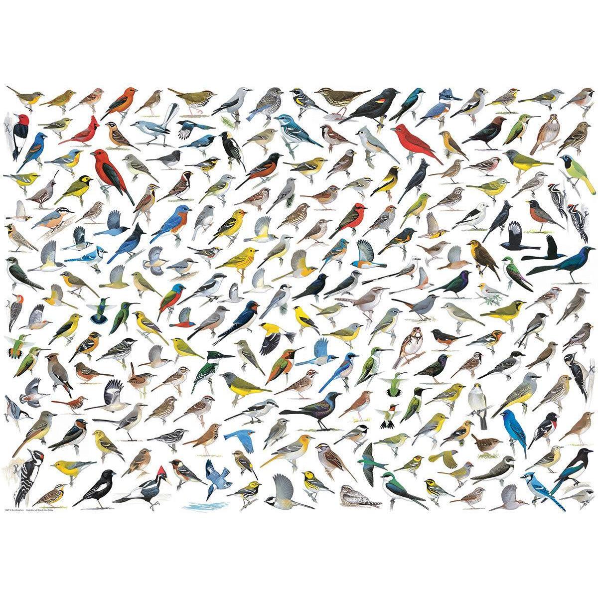 The World of Birds 1000 Piece Jigsaw Puzzle Eurographics