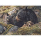 Twice the Love 1000 Piece Jigsaw Puzzle Cobble Hill