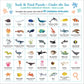 Under the Sea 100 Piece Seek & Find Jigsaw Puzzle Peter Pauper