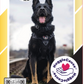 HuggleCause™, Project K-9 Hero, K-9 Mattis Knottie® Plush Dog Toy, Large