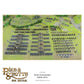 Warlord Games Pike & Shotte Scots Convenanters Starter Army Plastic Model Kit 28mm Unpainted - Model 212013004