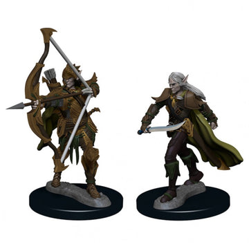 Pf Dc: Elf Male Fighter W1