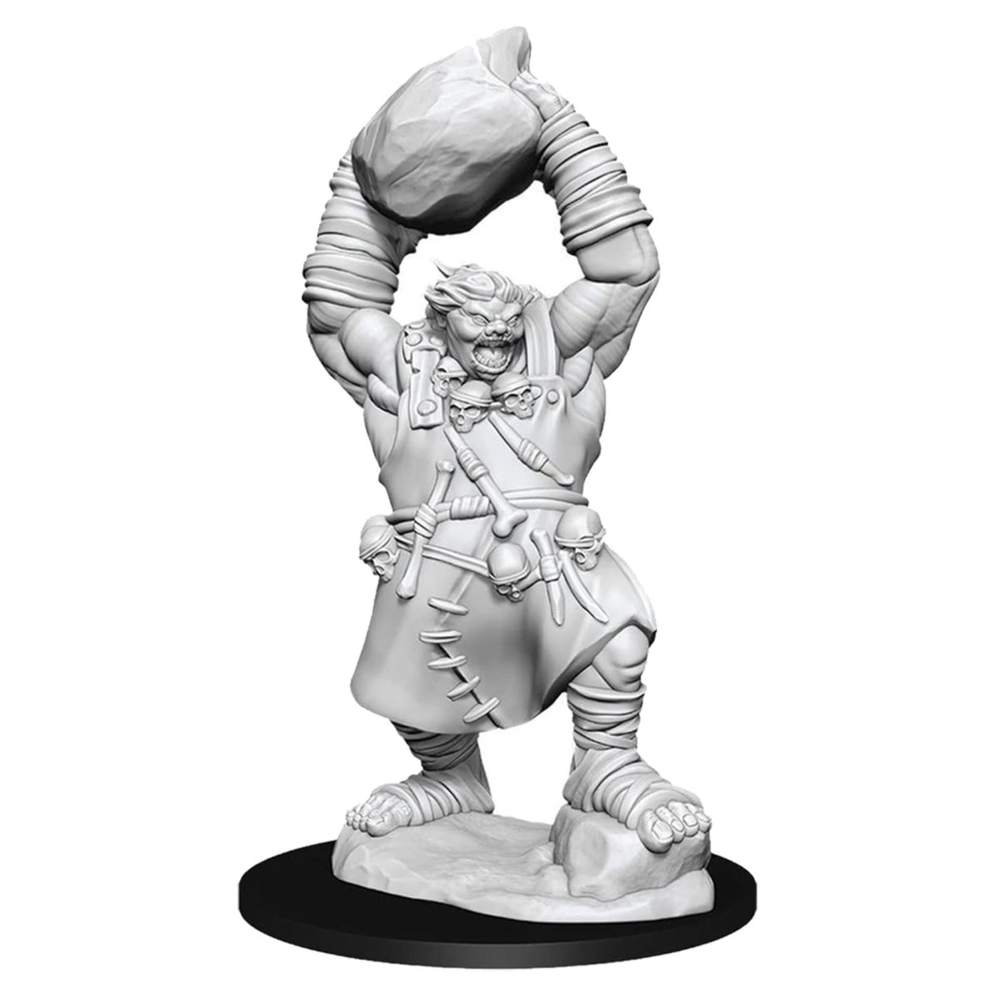 Wizkids Pathfinder Deep Cuts Unpainted Miniatures: Wave 11: Ogre