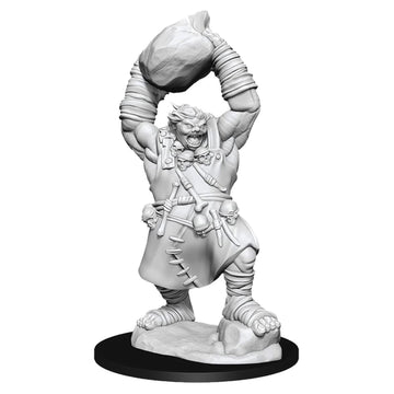 Wizkids Pathfinder Deep Cuts Unpainted Miniatures: Wave 11: Ogre