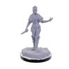 Wizkids Pathfinder Deep Cuts: Urdefhan Death Scout & Lasher Pathfinder Battles Unpainted Miniatures